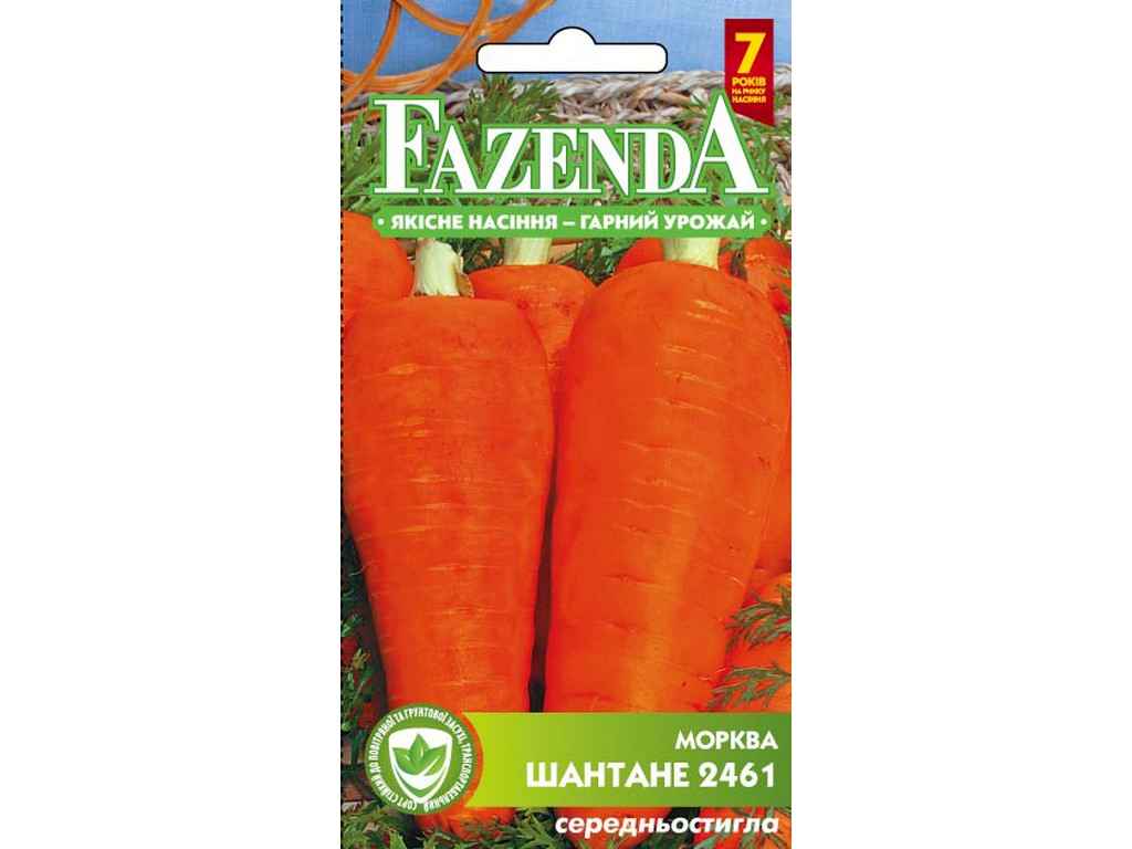 Огурцы шантане камчатникова. Салат шантане из огурцов на зиму. Огурцы на зиму в острой заливке. Салат из огурцов шантане в острой заливке. Пиканта огурцы.