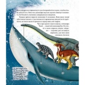 Дитяча книга "Такі, як ми. Про тварин та їхні характери" 253615. Зображення №2