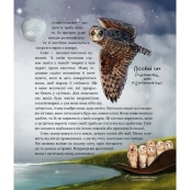 Дитяча книга "Такі, як ми. Про тварин та їхні характери" 253615. Зображення №4