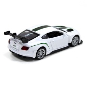 Детская автомодель BENTLEY CONTINENTAL GT3 TechnoDrive 250258 белый. Изображение №5