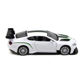 Детская автомодель BENTLEY CONTINENTAL GT3 TechnoDrive 250258 белый. Изображение №6