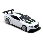 Детская автомодель BENTLEY CONTINENTAL GT3 TechnoDrive 250258 белый. Изображение №7