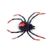 Интерактивная игрушка ПАУК ROBO ALIVE S2 7151. Изображение №7