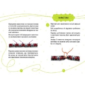 Подарок своими руками Ожерелье цветущей страны 1220003 без иголки. Изображение №2 Подарок своими руками Ожерелье цветущей страны 1220003 без иголки. Изображение №2