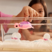 Интерактивный игровой набор Мама черепаха с сюрпризом Pets & Robo Alive 9560 "Mama & Baby Surprise". Изображение №4