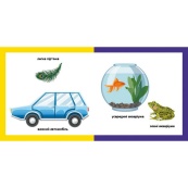 Дитяча смарт-книжечка "Протилежності" 944012, 24 сторінки. Зображення №2 Дитяча смарт-книжечка "Протилежності" 944012, 24 сторінки. Зображення №2