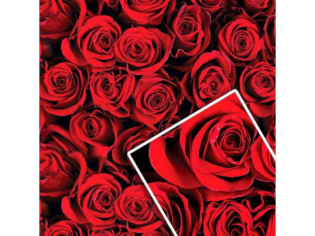 Папір подарунковий 70х100см №111 (10л) ТМ УПАКОВКИН Папір подарунковий 70х100см №111 (10л) ТМ УПАКОВКИН