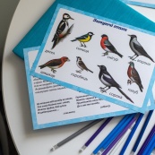 Дидактичний матеріал "Зимові спостереження" 13107147, 16 карток. Зображення №7