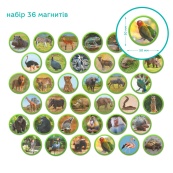 Дитячий магнітний набір Монтесорі "Тварини на континентах: Африка" DoDo Toys 200284, 36 елементів. Зображення №4