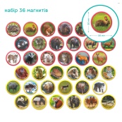 Дитячий магнітний набір Монтесорі "Тварини на континентах: Євразія" DoDo Toys 200285, 36 елементів. Зображення №4