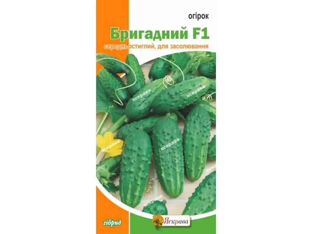 Огірок Бригадний F1 (20 пачок) 0,5г ТМ ЯСКРАВА Огірок Бригадний F1 (20 пачок) 0,5г ТМ ЯСКРАВА