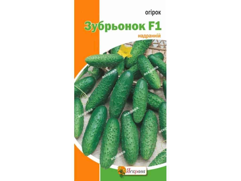 Огірок Зубрьонок F1 (20 пачок) 0,5г ТМ ЯСКРАВА Огірок Зубрьонок F1 (20 пачок) 0,5г ТМ ЯСКРАВА