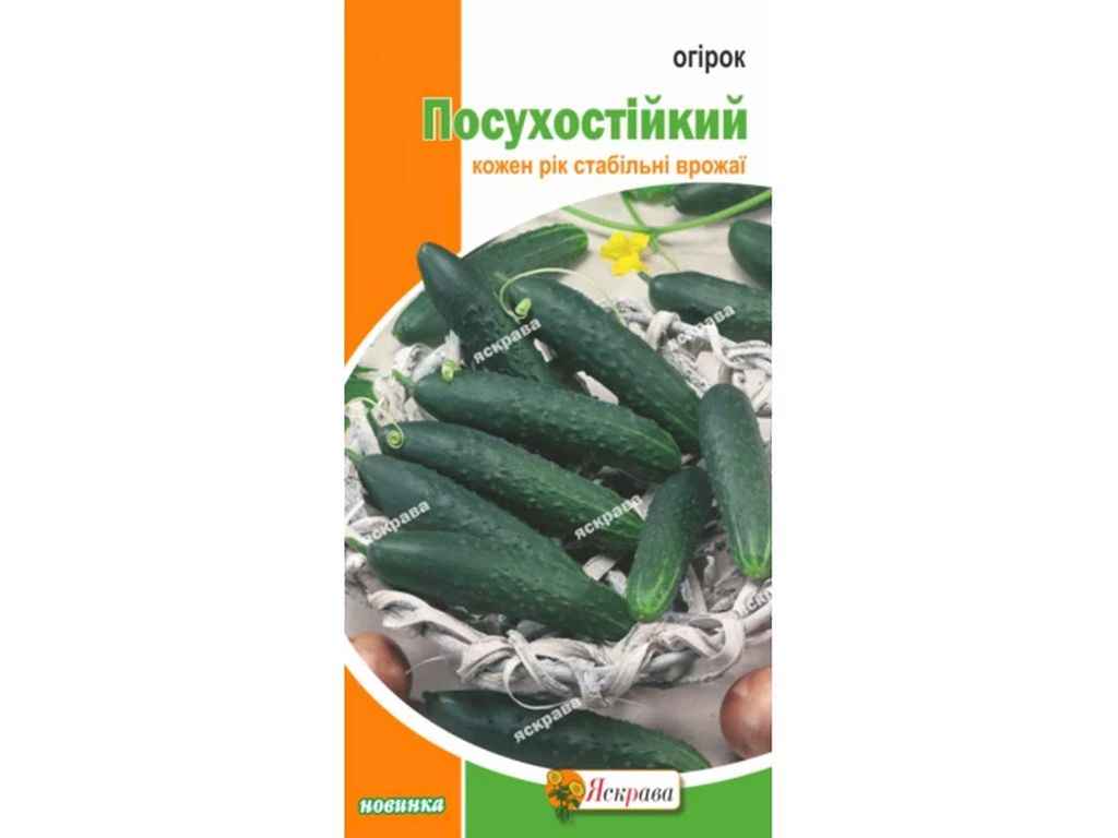 Огірок Посухостійкий (20 пачок) 1г ТМ ЯСКРАВА Огірок Посухостійкий (20 пачок) 1г ТМ ЯСКРАВА