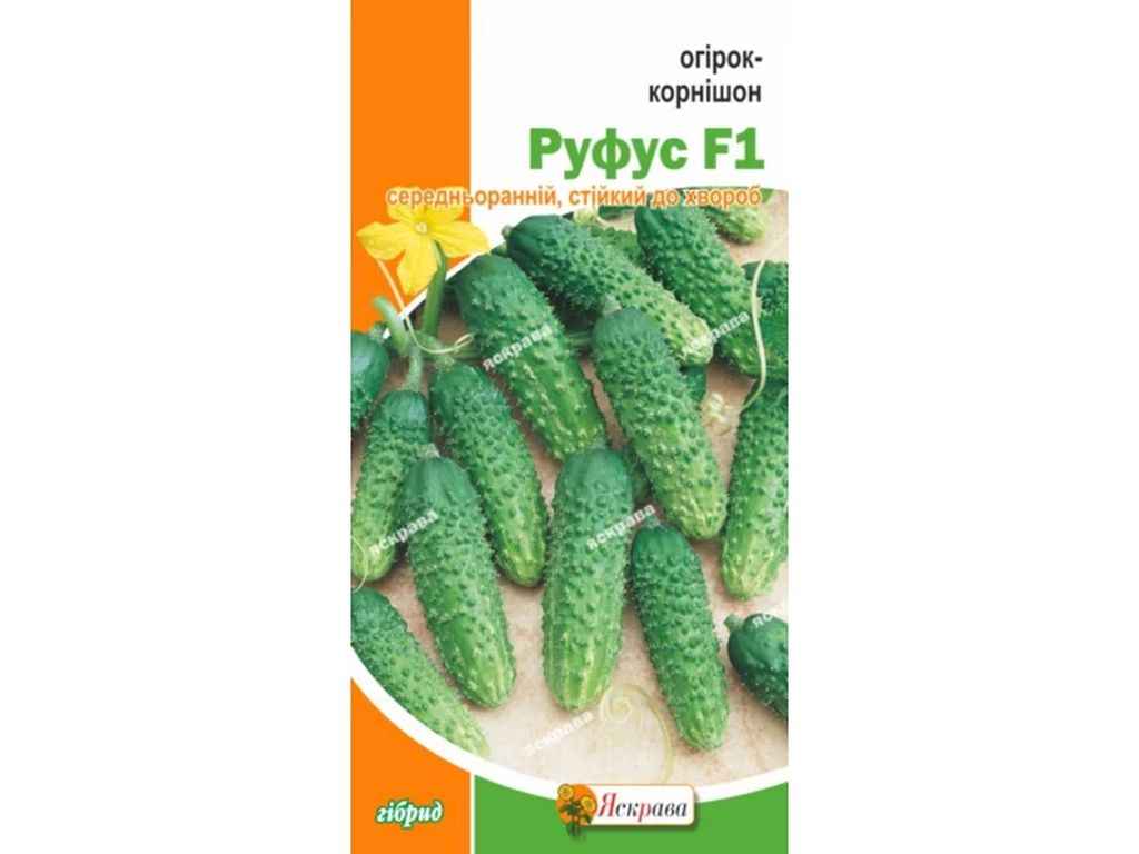 Огірок корнішон Руфус F1 (20 пачок) 0,5г ТМ ЯСКРАВА Огірок корнішон Руфус F1 (20 пачок) 0,5г ТМ ЯСКРАВА