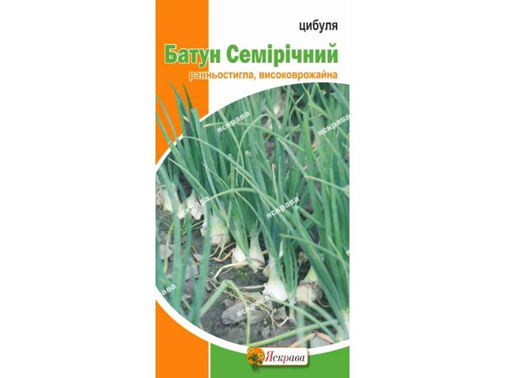 Цибуля Батун Семирічний (20 пачок) 1г ТМ ЯСКРАВА Цибуля Батун Семирічний (20 пачок) 1г ТМ ЯСКРАВА