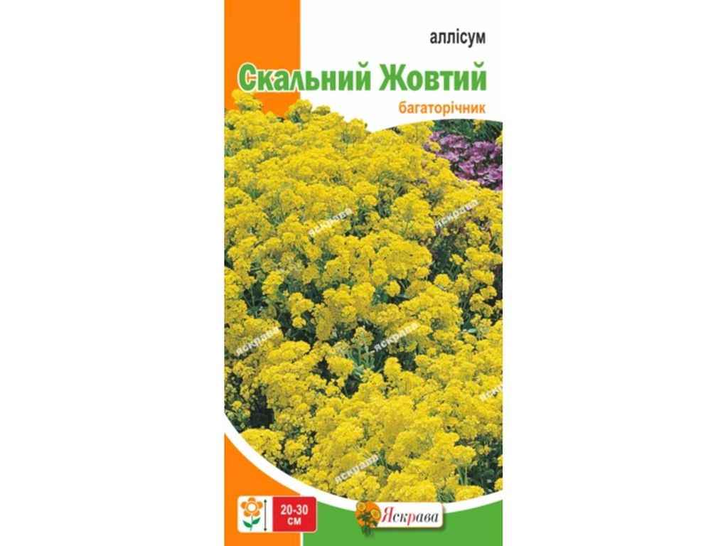 Аліссум Скальний Жовтий (20 пачок) 0,2г ТМ ЯСКРАВА Аліссум Скальний Жовтий (20 пачок) 0,2г ТМ ЯСКРАВА