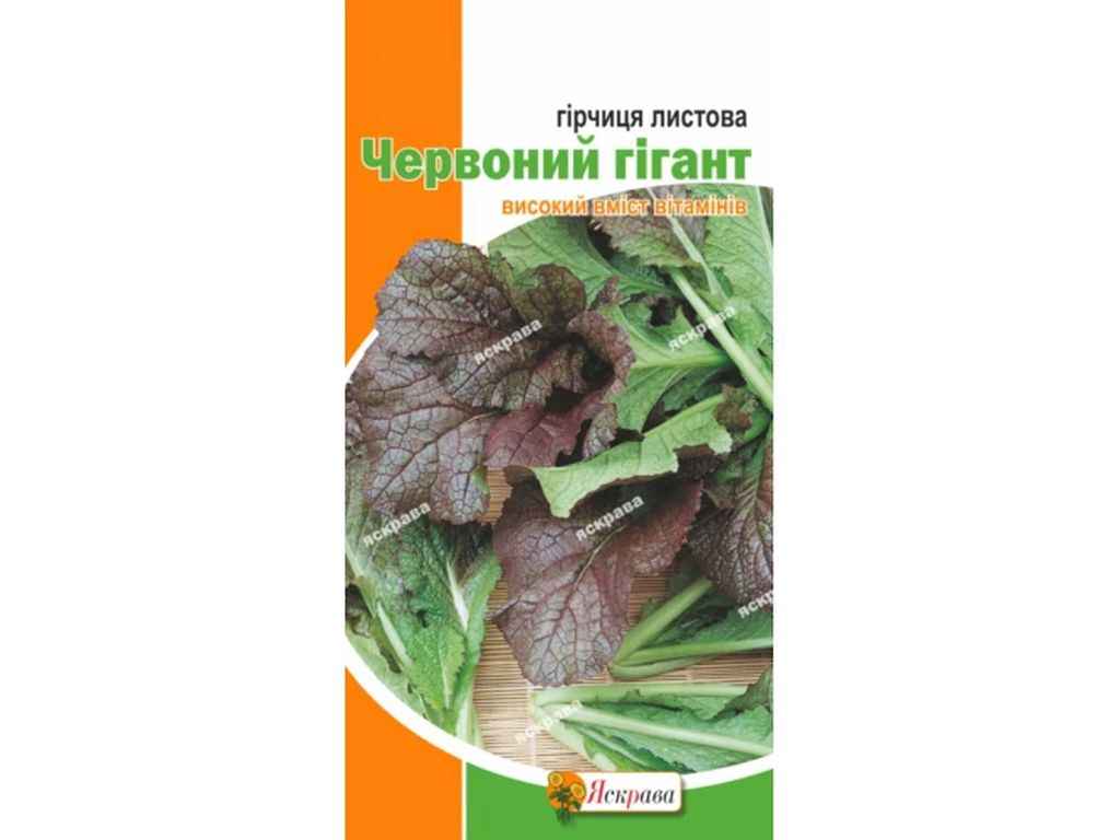 Гірчиця листова Червоний гігант (20 пачок) 1г ТМ ЯСКРАВА Гірчиця листова Червоний гігант (20 пачок) 1г ТМ ЯСКРАВА