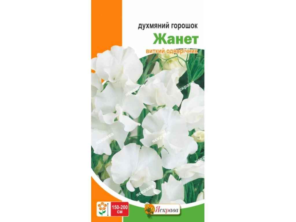 Горошок духмяний Жанет білий (20 пачок) 1г ТМ ЯСКРАВА Горошок духмяний Жанет білий (20 пачок) 1г ТМ ЯСКРАВА