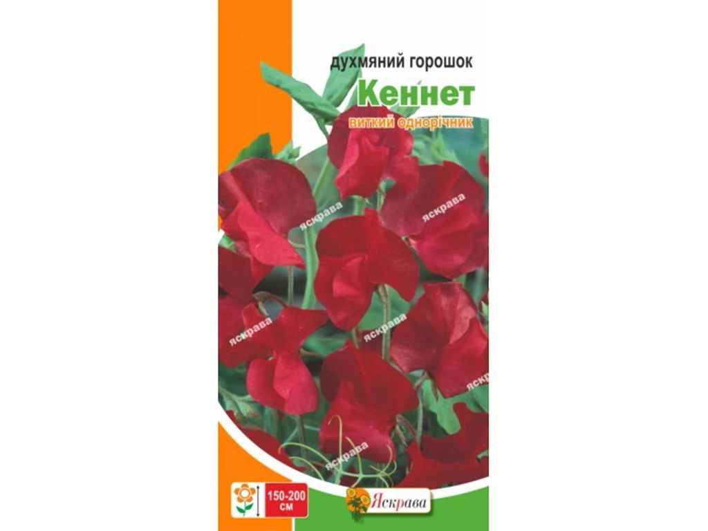Горошок духмяний Кеннет червоний (20 пачок) 1г ТМ ЯСКРАВА Горошок духмяний Кеннет червоний (20 пачок) 1г ТМ ЯСКРАВА