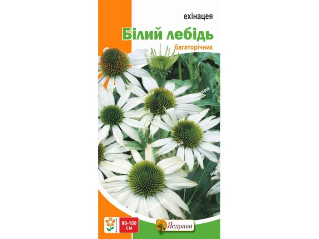Ехінацея Білий лебідь (20 пачок) 0,2г ТМ ЯСКРАВА Ехінацея Білий лебідь (20 пачок) 0,2г ТМ ЯСКРАВА