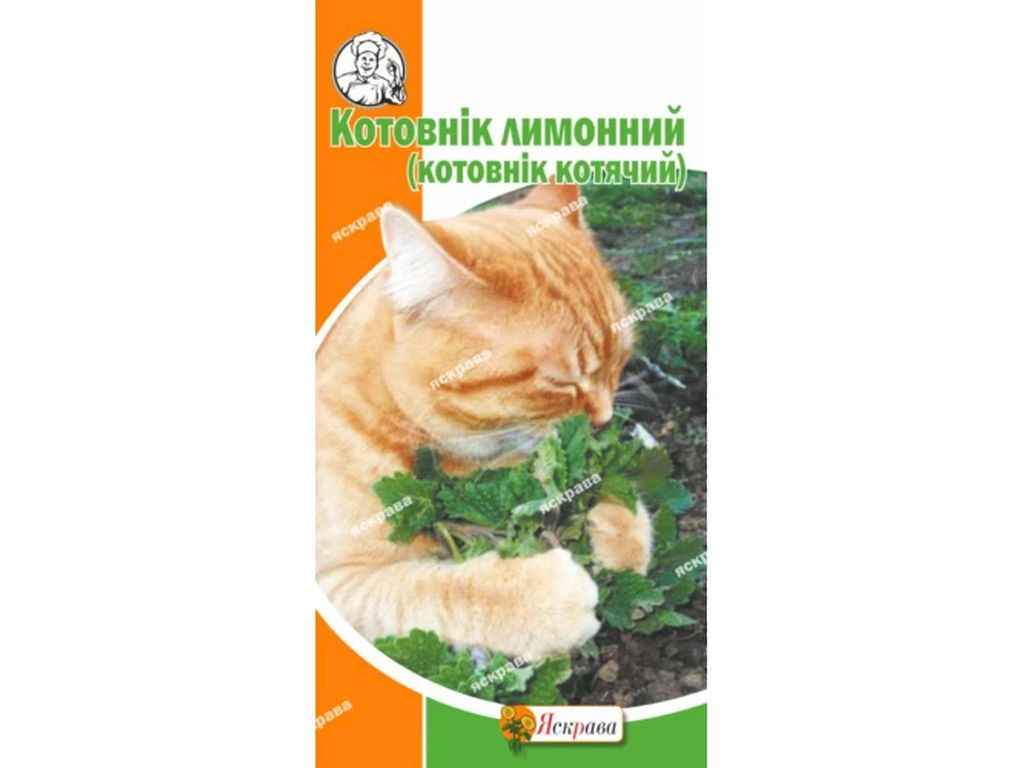 Котовнік лимонний (20 пачок) 0,5г ТМ ЯСКРАВА Котовнік лимонний (20 пачок) 0,5г ТМ ЯСКРАВА