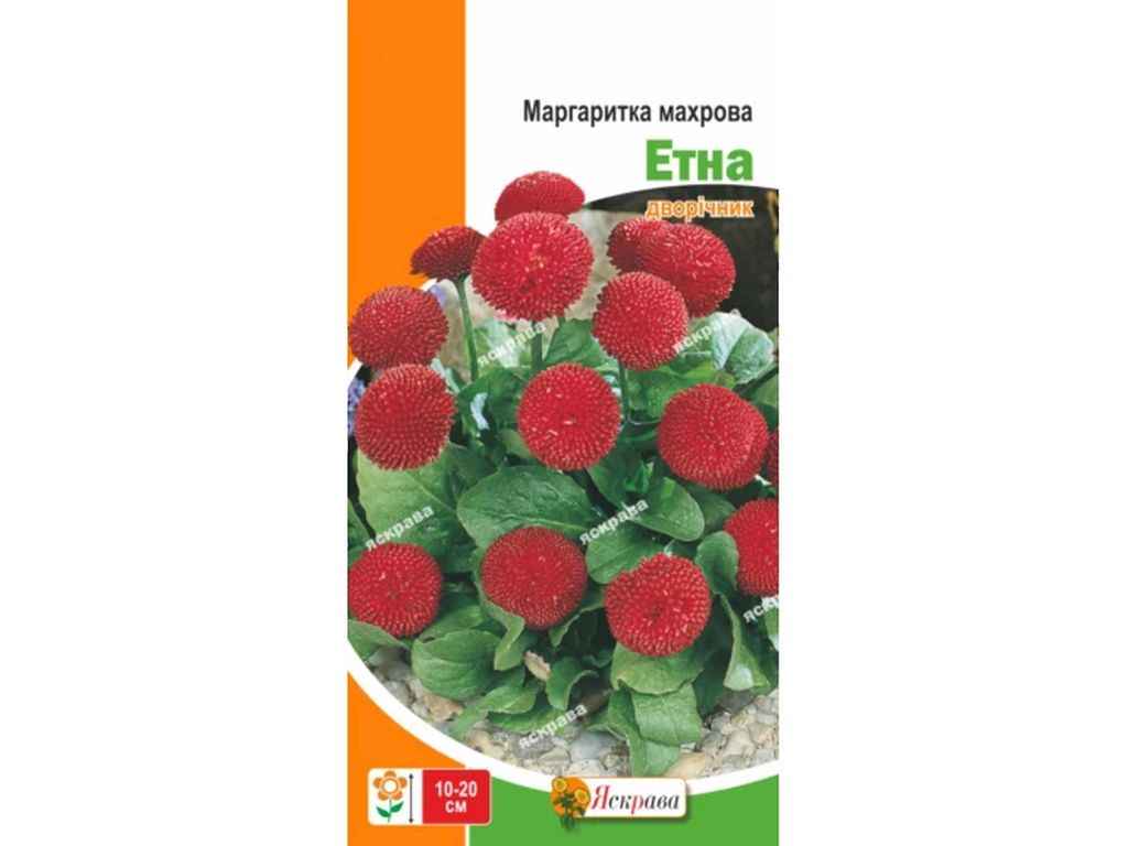 Маргаритка махрова Етна червона (20 пачок) 0,1г ТМ ЯСКРАВА Маргаритка махрова Етна червона (20 пачок) 0,1г ТМ ЯСКРАВА