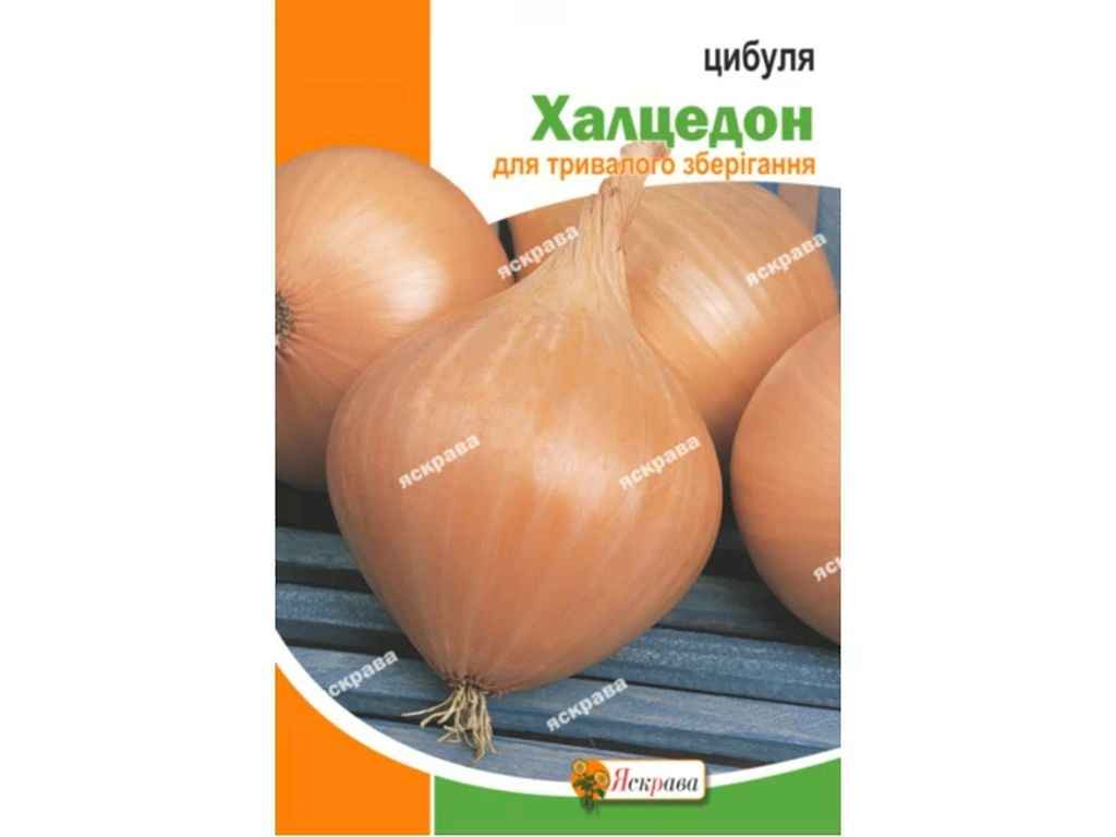 Цибуля Халцедон максі (10 пачок) 5г ТМ ЯСКРАВА Цибуля Халцедон максі (10 пачок) 5г ТМ ЯСКРАВА