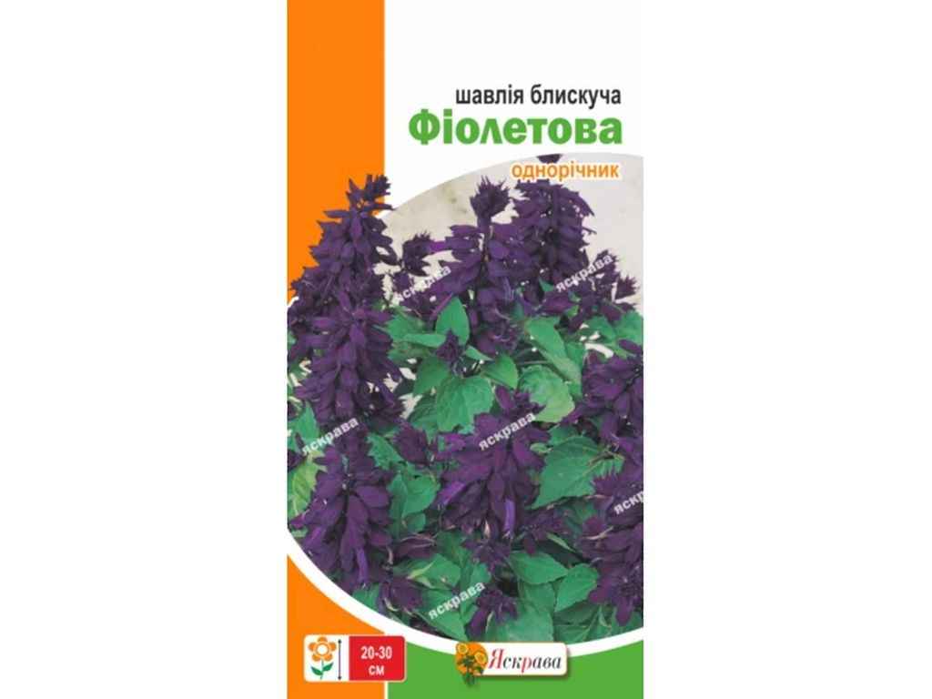 Шавлія блискуча Фіолетова (20 пачок) 0,2г ТМ ЯСКРАВА Шавлія блискуча Фіолетова (20 пачок) 0,2г ТМ ЯСКРАВА