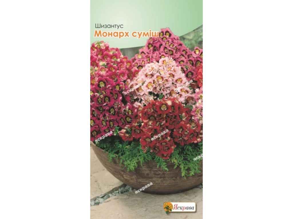 Шизантус Монарх суміш (20 пачок) 0,3г ТМ ЯСКРАВА Шизантус Монарх суміш (20 пачок) 0,3г ТМ ЯСКРАВА