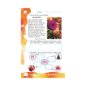 Навчальна книга НУШ "Суперські канікули: Осінь-Зима-Весна" Н520019, 1 клас. Зображення №4