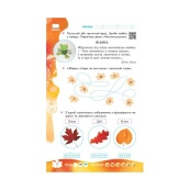 Навчальна книга НУШ "Суперські канікули: Осінь-Зима-Весна" Н520019, 1 клас. Зображення №8