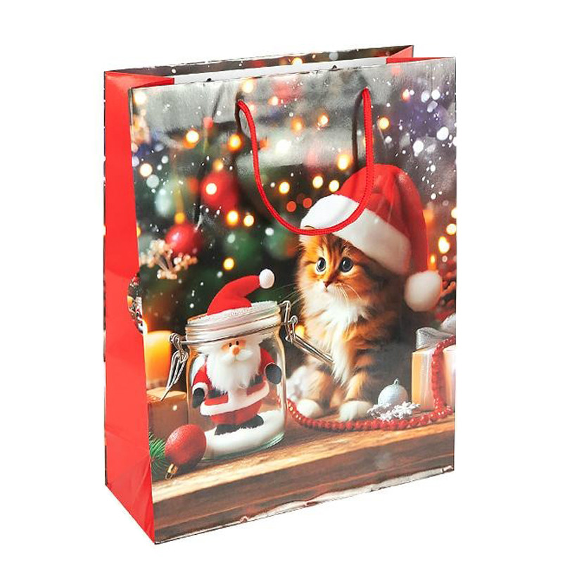 Пакет подарунковий "Новий Рік" 2577-1 розмір 18х21,5х8 см Пакет подарунковий "Новий Рік" 2577-1 розмір 18х21,5х8 см