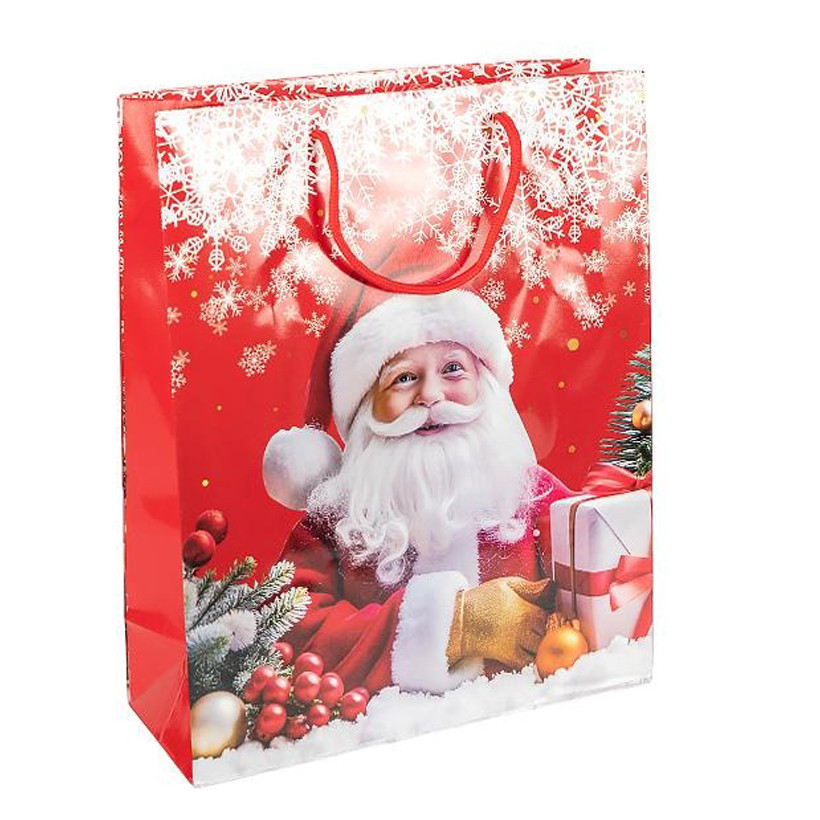 Пакет подарочный "Новый год" 2565-2-3 размер 26х32х10 см Пакет подарочный "Новый год" 2565-2-3 размер 26х32х10 см