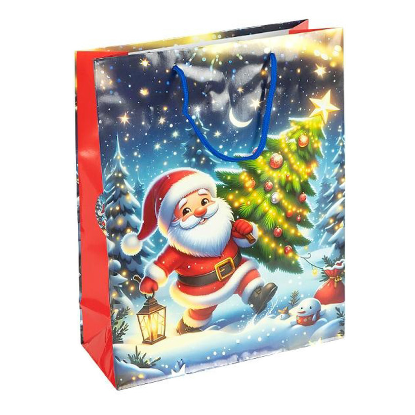 Пакет подарочный "Новый год" 2576-2-4 размер 26х32х10 см Пакет подарочный "Новый год" 2576-2-4 размер 26х32х10 см