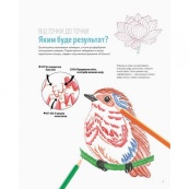 Книга-розмальовка Точкографія. У світі природи Жорж 101049. Зображення №6