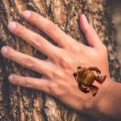 Детские временные тату "Итальянский брейнрот" Italian-brainrot-tattoo-1, 12х7 см. Изображение №5 Детские временные тату "Итальянский брейнрот" Italian-brainrot-tattoo-1, 12х7 см. Изображение №5