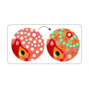 Набір для творчості Алмазна мозаїка "Білочка" DJECO DJ08897. Зображення №6