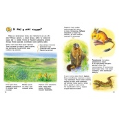 Дитяча книжка "Енциклопедія дошкільника. Україна" 614044. Зображення №3 Дитяча книжка "Енциклопедія дошкільника. Україна" 614044. Зображення №3