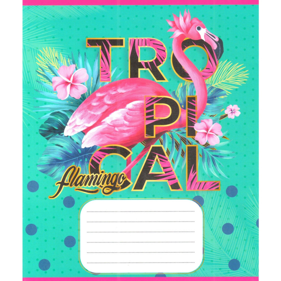 Зошит учнівський "Рожевий фламінго" 012-500059K-1 в клітинку, 12 аркушів (959050) Зошит учнівський "Рожевий фламінго" 012-500059K-1 в клітинку, 12 аркушів (959050)