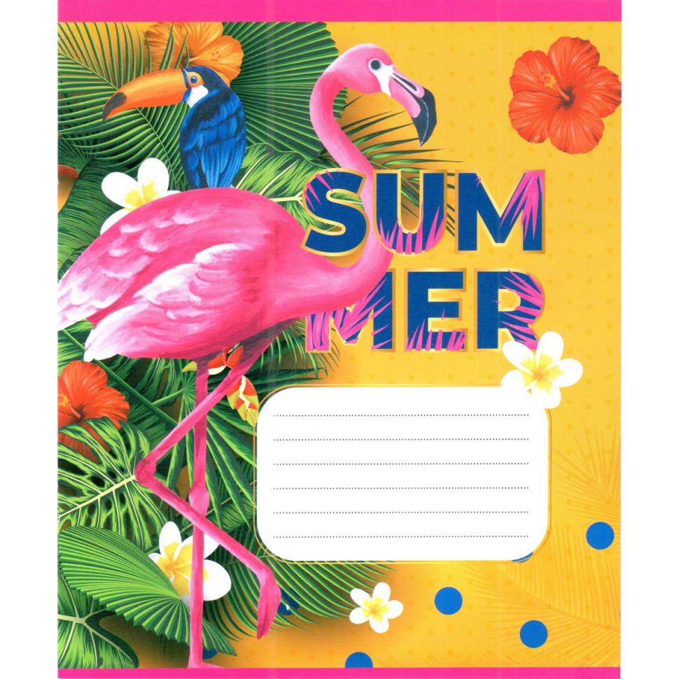 Зошит учнівський "Рожевий фламінго" 012-500059K-5 в клітинку, 12 аркушів (959050) Зошит учнівський "Рожевий фламінго" 012-500059K-5 в клітинку, 12 аркушів (959050)