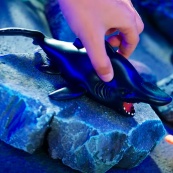 Стретч-игрушка сюрприз "Legend Of Animals Хищники" 33/CN22. Изображение №6 Стретч-игрушка сюрприз "Legend Of Animals Хищники" 33/CN22. Изображение №6