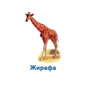 Настольная игра Парочки: Мир животных 1392003, 6 игр. Изображение №3