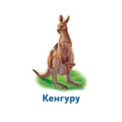 Настольная игра Парочки: Мир животных 1392003, 6 игр. Изображение №4