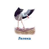 Настольная игра Парочки: Мир животных 1392003, 6 игр. Изображение №6