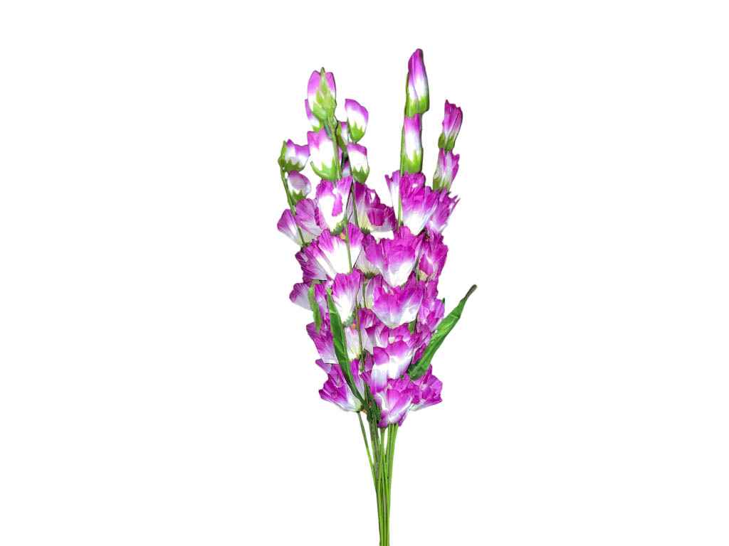 Квітка Гладіолус h-53см фіолетово-білий 7113 10шт/св ТМ Китай Квітка Гладіолус h-53см фіолетово-білий 7113 10шт/св ТМ Китай