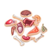 Детская настольная игра "Crazy Doctor" 1295-3 игровое поле, рулетка. Изображение №3