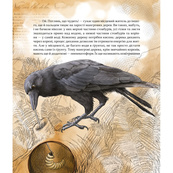 Детская книжка "Как понять животных" 452155 серия "Открывай". Изображение №4