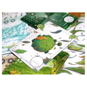 Настільна гра "Evergreen. Зелена планета" EVG001UA 45 фішок паростків. Зображення №4