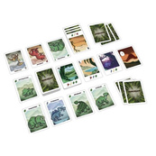 Карткова гра "Зникнення" G7D064UA 73 карти загубленого світу. Зображення №4