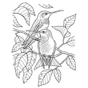 Велика книга розмальовок "Дівчатка та квіти" 1736026, 64 сторінки. Зображення №3 Велика книга розмальовок "Дівчатка та квіти" 1736026, 64 сторінки. Зображення №3